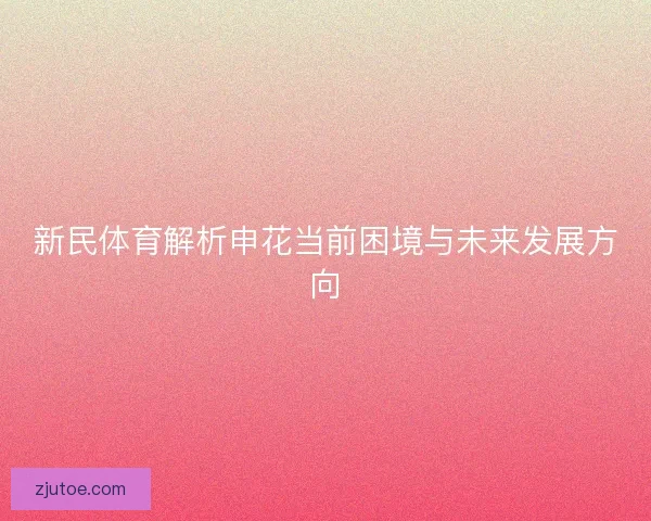 新民体育解析申花当前困境与未来发展方向